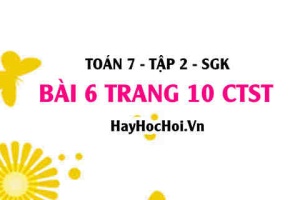 Bài 6 trang 10 Toán 7 Tập 2 Chân trời sáng tạo